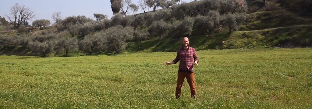 Degustazioni di vino a Bardolino Lago di Garda Villa Calicantus