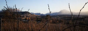 Degustazioni di vino a Bardolino Lago di Garda Villa Calicantus