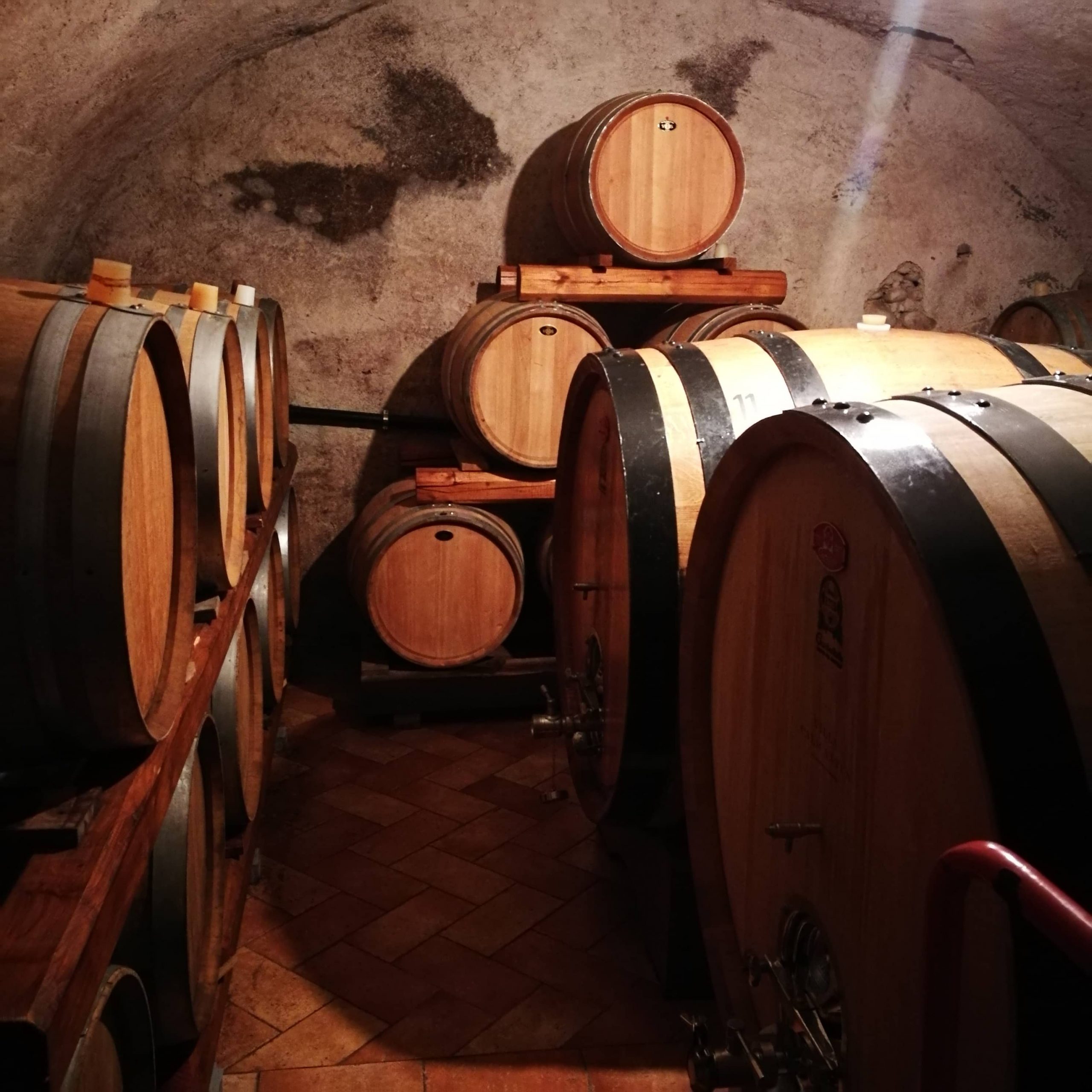 Degustazioni di vino a Bardolino Lago di Garda Villa Calicantus