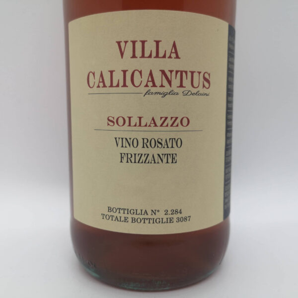 SOLLAZZO (box 12) - immagine 2