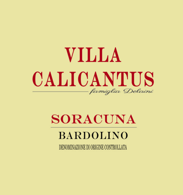 SORACUNA (box 12)