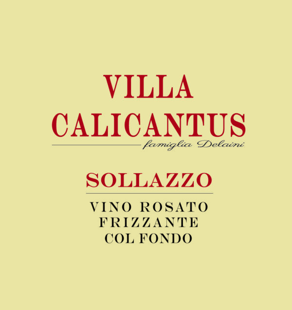 SOLLAZZO (box 12)