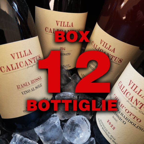 Box 12 Bottiglie