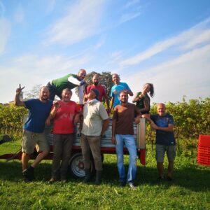 lake garda vineyard tour